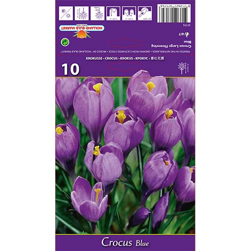 Krookuse Blue interface.image 1 interface.art 67615