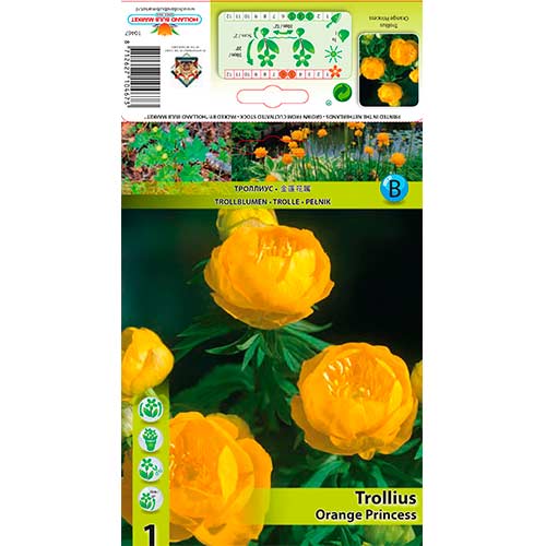 Kullerkupp Orange Princess interface.art foto 1 Kullerkupp Orange Princess interface.image 1 interface.art 76364