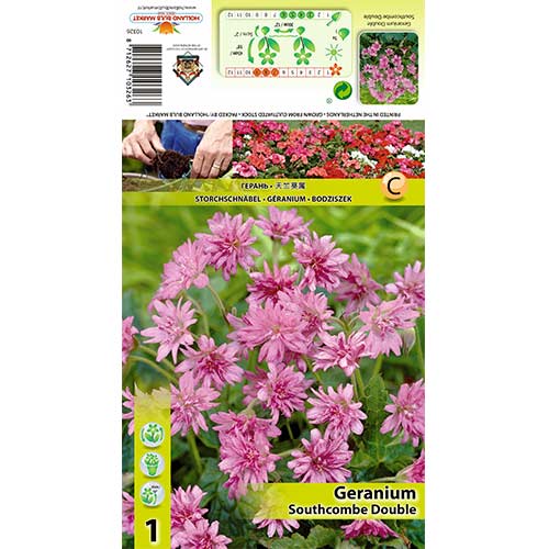 Kurereha Southcombe Double interface.image 1 interface.art 70391