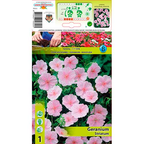 Kurereha Striatum interface.image 1 interface.art 76584