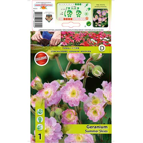 Kurereha Summer Skies interface.image 1 interface.art 76242