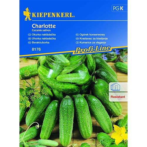 Kurgid Charlotte, F1 interface.art foto 1 Kurgid Charlotte, F1 interface.image 1 interface.art 86442
