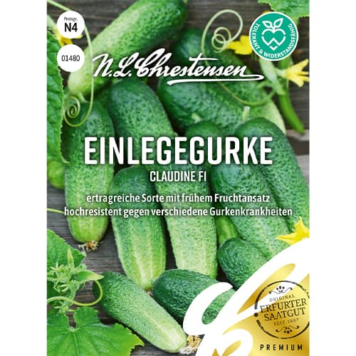 Kurgid Claudine F1 interface.art foto 1 Kurgid Claudine F1 interface.image 1 interface.art 86034