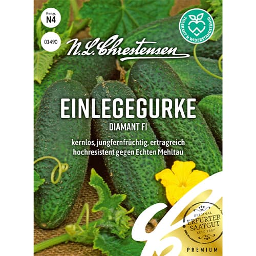 Kurgid Diamant F1 Chrestensen interface.image 1 interface.art 86035