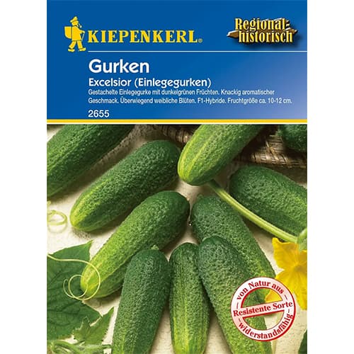 Kurgid Excelsior F1 interface.image 1 interface.art 86445