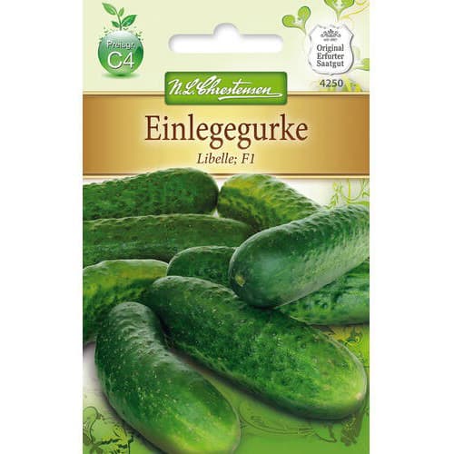 Kurgid Libelle F1 interface.art foto 1 Kurgid Libelle F1 interface.image 1 interface.art 78786