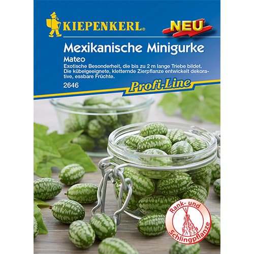 Kurgid Mateo interface.image 1 interface.art 96634