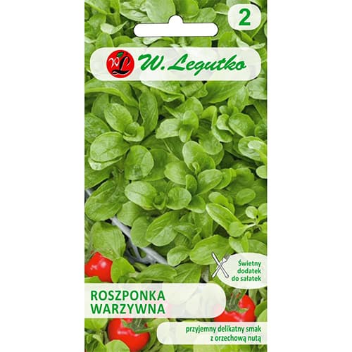 Lambasalat Verte de Cambrai interface.image 1 interface.art 78497