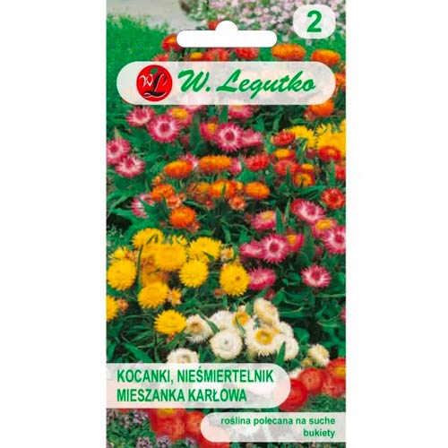 Lasteaia rämpspost Tom Pöial, segu Legutko interface.image 1 interface.art 78569