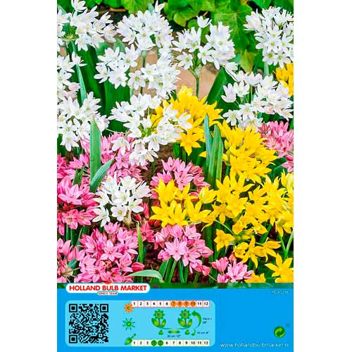 Lauk Mixed interface.art foto 1 Lauk Mixed interface.image 1 interface.art 76370