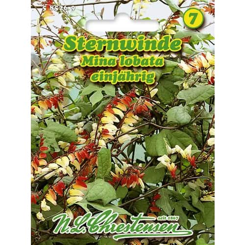 Lehtertapid Mino Lobada interface.image 1 interface.art 96440