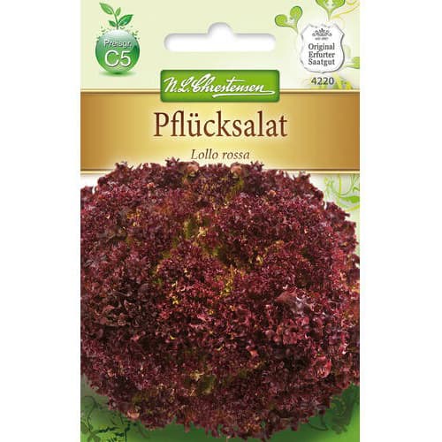 Lehtsalat Lollo Rossa Chrestensen interface.image 1 interface.art 78779