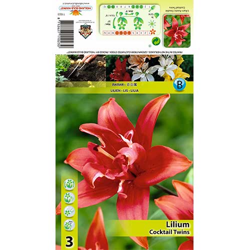 Liilia Cocktail Twins interface.art foto 1 Liilia Cocktail Twins interface.image 1 interface.art 70426