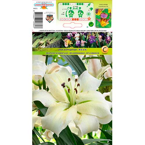 Liilia Cocossa interface.art foto 1 Liilia Cocossa interface.image 1 interface.art 76318