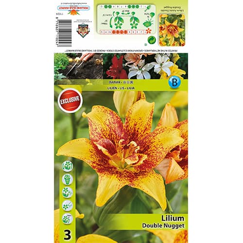 Liilia Double Nugget interface.image 1 interface.art 77820