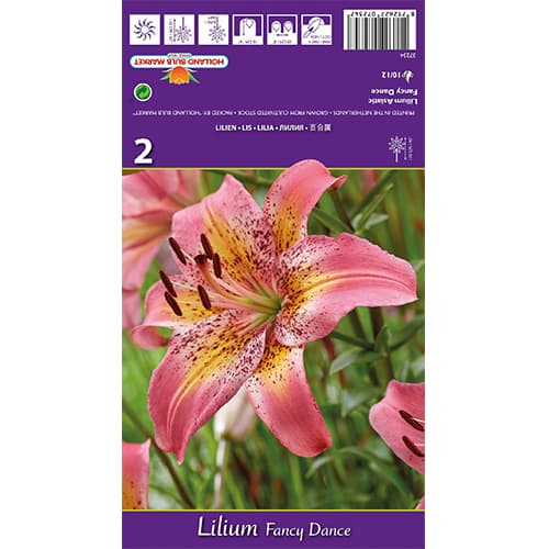 Liilia Fancy Dance interface.image 1 interface.art 77836