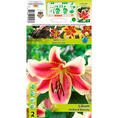 Liilia Holland Beauty interface.art foto 1 Liilia Holland Beauty interface.image 1 interface.art 76310