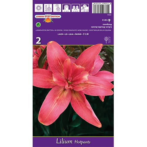 Liilia Hotpants interface.art foto 1 Liilia Hotpants interface.image 1 interface.art 77837