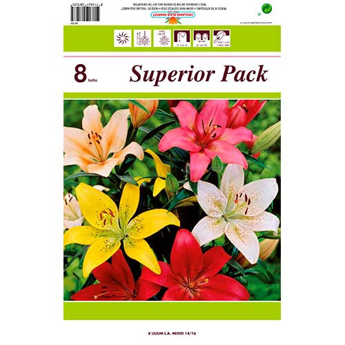 Liilia LA Mixed interface.art foto 1 Liilia LA Mixed interface.image 1 interface.art 76469