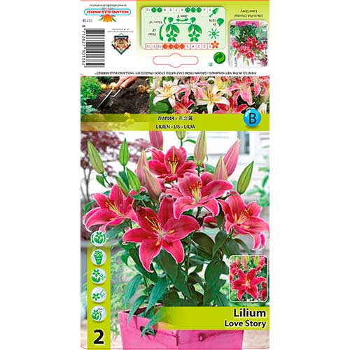 Liilia Love Story interface.art foto 1 Liilia Love Story interface.image 1 interface.art 76313
