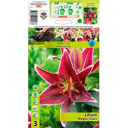 Liilia Magny Course interface.art foto 1 Liilia Magny Course interface.image 1 interface.art 76606