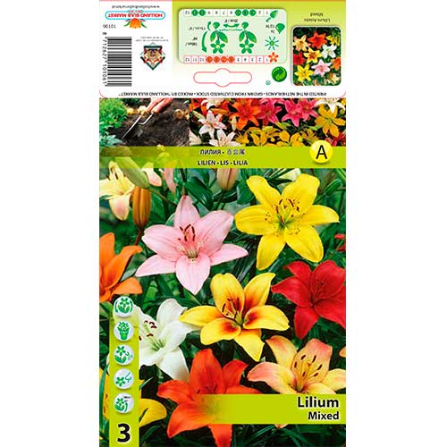 Liilia Mix interface.art foto 1 Liilia Mix interface.image 1 interface.art 76303