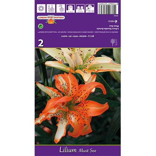 Liilia Must See interface.image 1 interface.art 77838