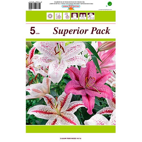 Liilia Tiger Mixed interface.art foto 1 Liilia Tiger Mixed interface.image 1 interface.art 76480