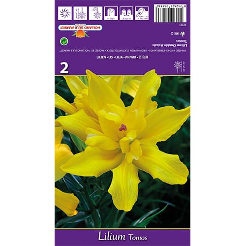 Liilia Tomos interface.art foto 1 Liilia Tomos interface.image 1 interface.art 77839