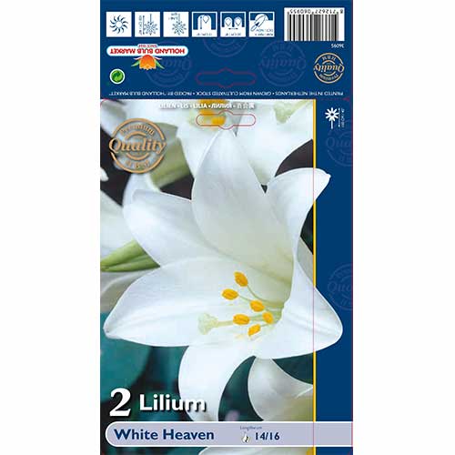 Liilia White Heaven interface.art foto 1 Liilia White Heaven interface.image 1 interface.art 76124