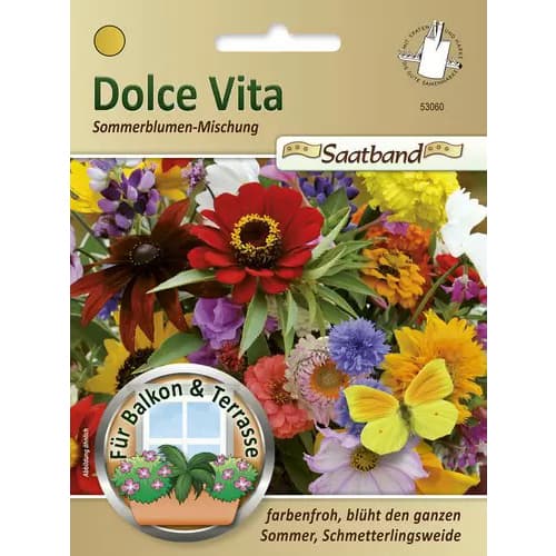Lilled rõdule ja terrassile Dolce Vita, segu interface.art foto 1 Lilled rõdule ja terrassile Dolce Vita, segu interface.image 1 interface.art 96448