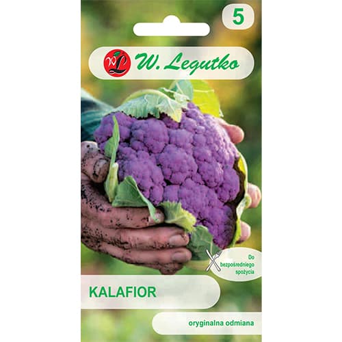 Lillkapsas Di Sicilia violetto interface.art foto 1 Lillkapsas Di Sicilia violetto interface.image 1 interface.art 69476