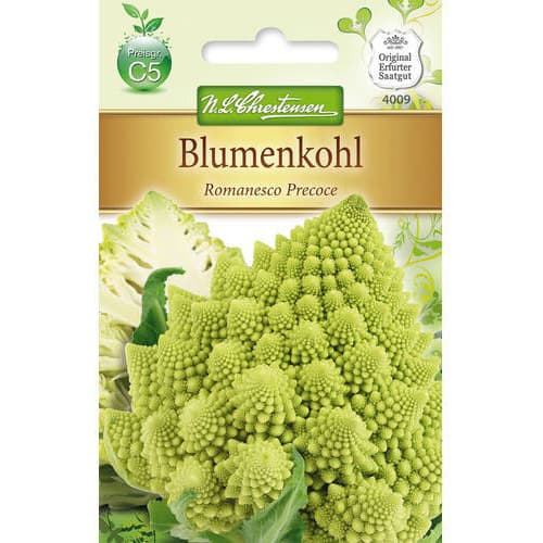 Lillkapsas Romanesco Precoce interface.art foto 1 Lillkapsas Romanesco Precoce interface.image 1 interface.art 78712