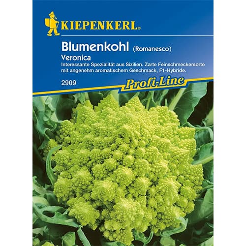 Lillkapsas Romanesco Veronica F1 interface.art foto 1 Lillkapsas Romanesco Veronica F1 interface.image 1 interface.art 86517