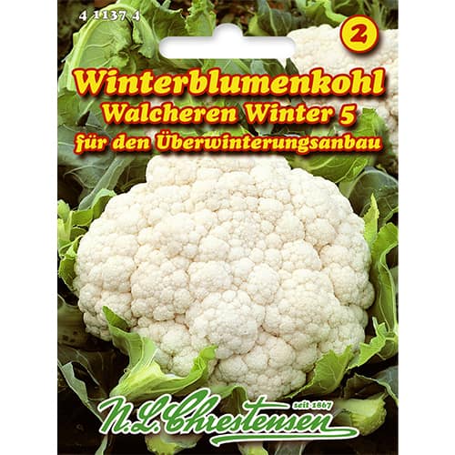 Lillkapsas Walcheren Winter 5 interface.art foto 1 Lillkapsas Walcheren Winter 5 interface.image 1 interface.art 86026