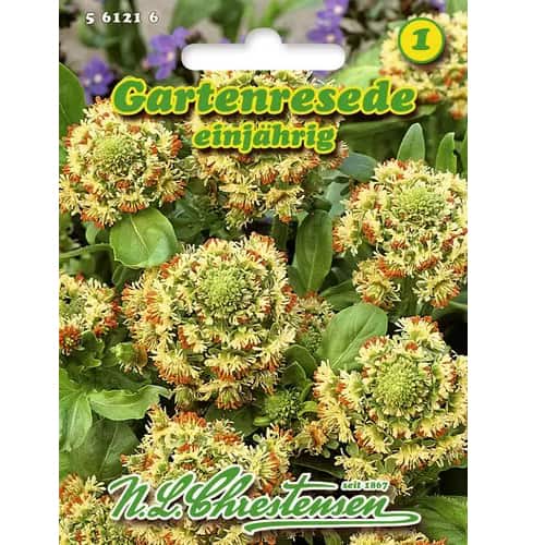 Lõhnavad raseedad interface.image 1 interface.art 96441