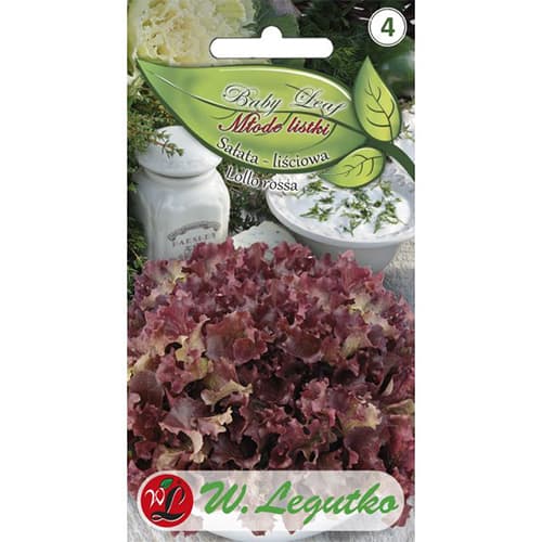 Lollo rossa Lollo rossa lehtsalat - Baby Leaf interface.art foto 1 Lollo rossa Lollo rossa lehtsalat - Baby Leaf interface.image 1 interface.art 86713