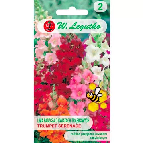 Lõvilõuad Trumpet Serenade Legutko interface.image 1 interface.art 78574