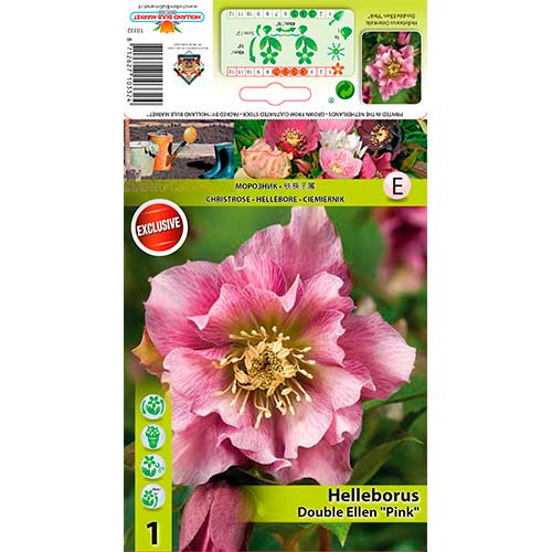 Lumeroos Double Ellen Pink interface.art foto 1 Lumeroos Double Ellen Pink interface.image 1 interface.art 76262