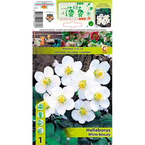 Lumeroos White Beauty interface.art foto 1 Lumeroos White Beauty interface.image 1 interface.art 76264
