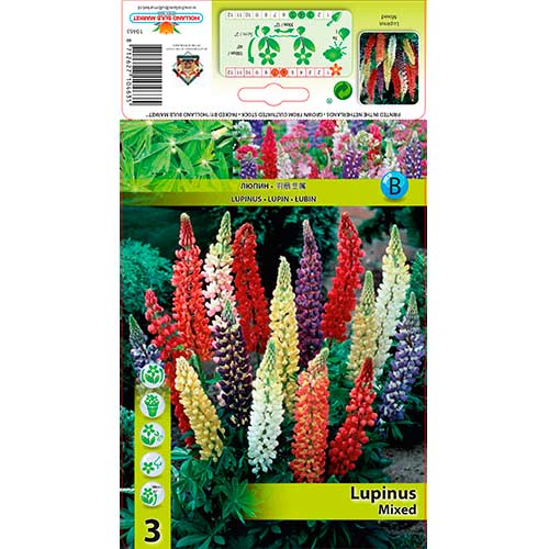 Lupiin mixed interface.art foto 1 Lupiin mixed interface.image 1 interface.art 76325