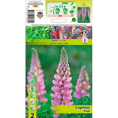 Lupiin Pink interface.art foto 1 Lupiin Pink interface.image 1 interface.art 76326