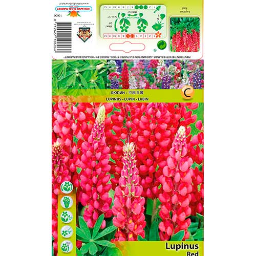 Lupiin Red interface.art foto 1 Lupiin Red interface.image 1 interface.art 76327