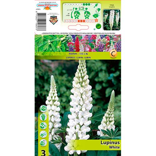 Lupiin White interface.art foto 1 Lupiin White interface.image 1 interface.art 76328