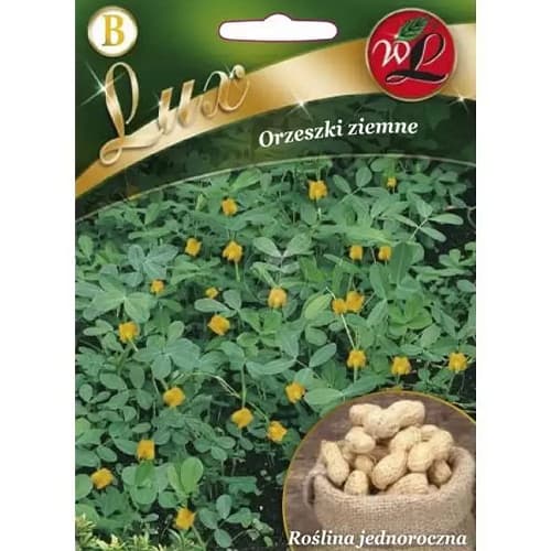 Maapähklid Legutko interface.image 1 interface.art 78667