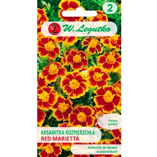 Madal peiulill Red Marietta Legutko interface.art foto 1 Madal peiulill Red Marietta Legutko interface.image 1 interface.art 69553