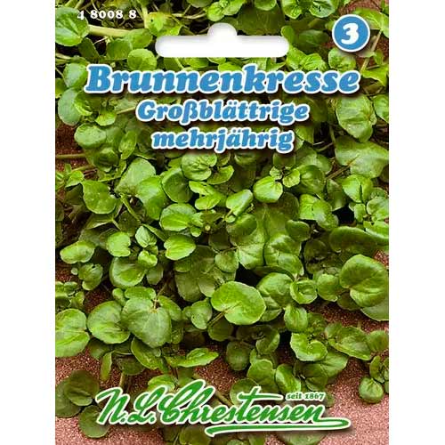 Mädarõigas, seemned Chrestensen interface.image 1 interface.art 50041