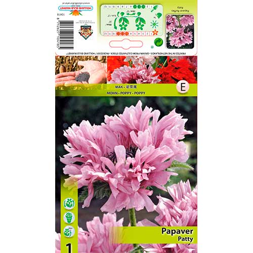 Magun Ruffles Patty interface.art foto 1 Magun Ruffles Patty interface.image 1 interface.art 76344