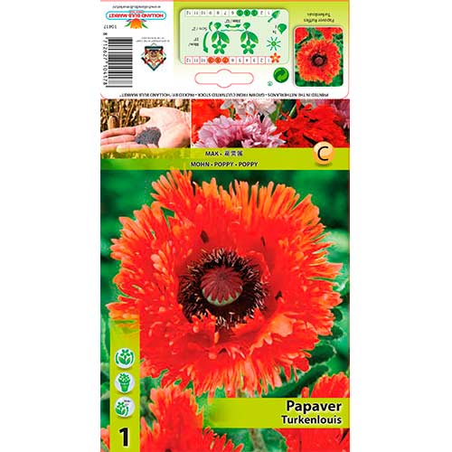 Magun Ruffles Turkenlouis interface.art foto 1 Magun Ruffles Turkenlouis interface.image 1 interface.art 76609