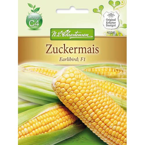 Mais Earlibird F1 interface.art foto 1 Mais Earlibird F1 interface.image 1 interface.art 78814